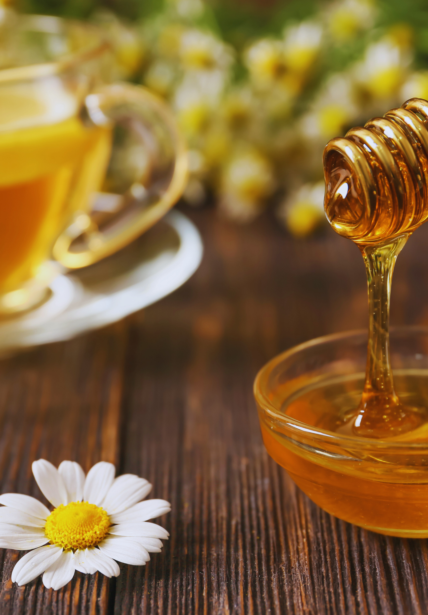 A clear mug of chamomile tea with honey drizzled on a honey dipper surrounded by chamomile flowers.