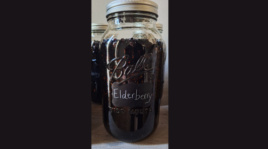Dried elderberry herbs infusing in raw honey for a slow extraction process.
