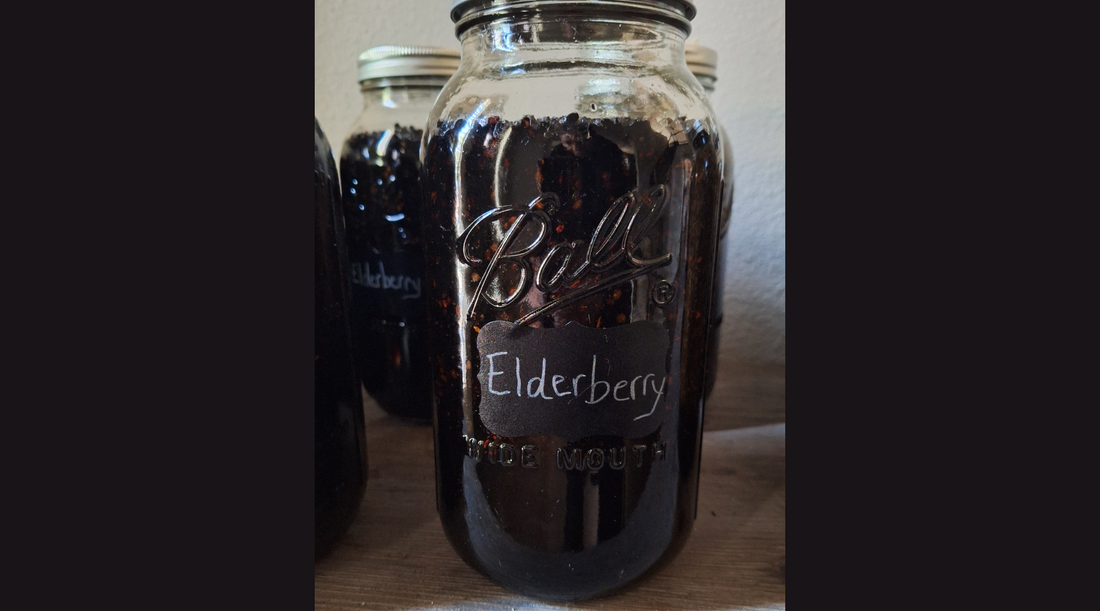A jar of dried elderberry herbs infused with natural, raw honey.
