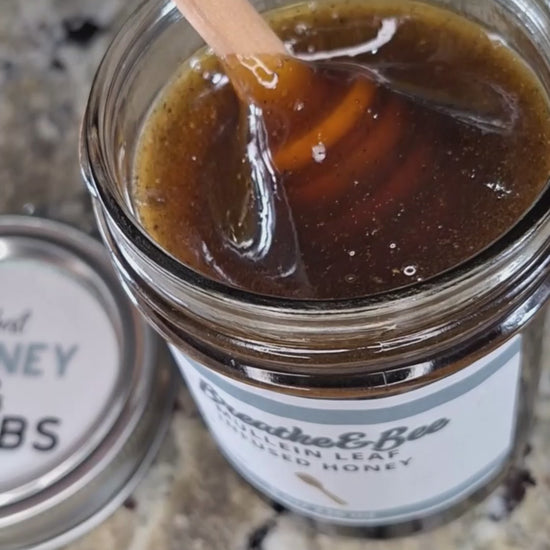  Mullein Leaf infused honey slowly drizzling from a honey dipper.