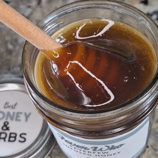 Feverfew infused honey slowly drizzling from a honey dipper.